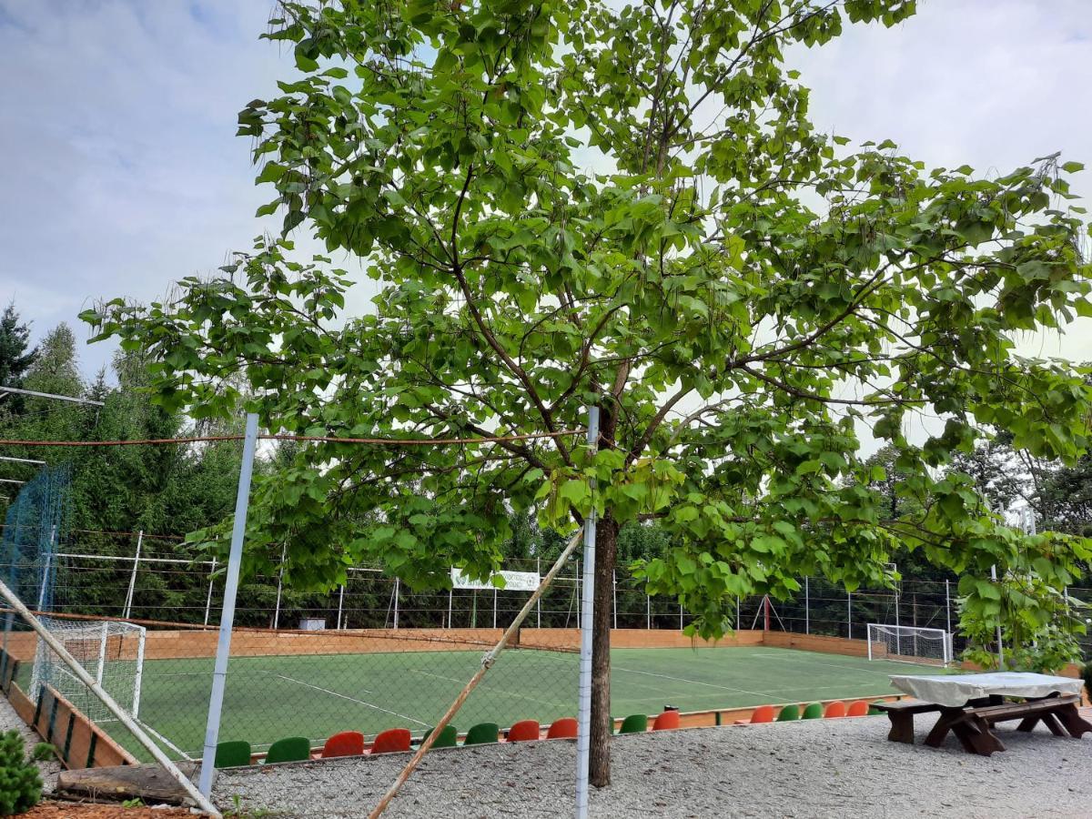 Pocitniska Hisa Parkfield Dragovan เมทลิกา ภายนอก รูปภาพ