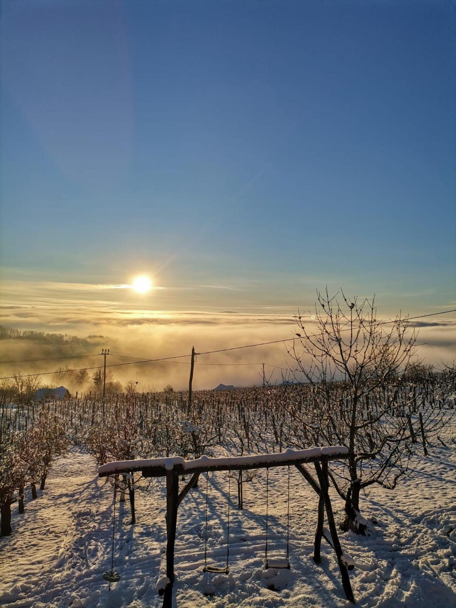 Pocitniska Hisa Parkfield Dragovan เมทลิกา ภายนอก รูปภาพ